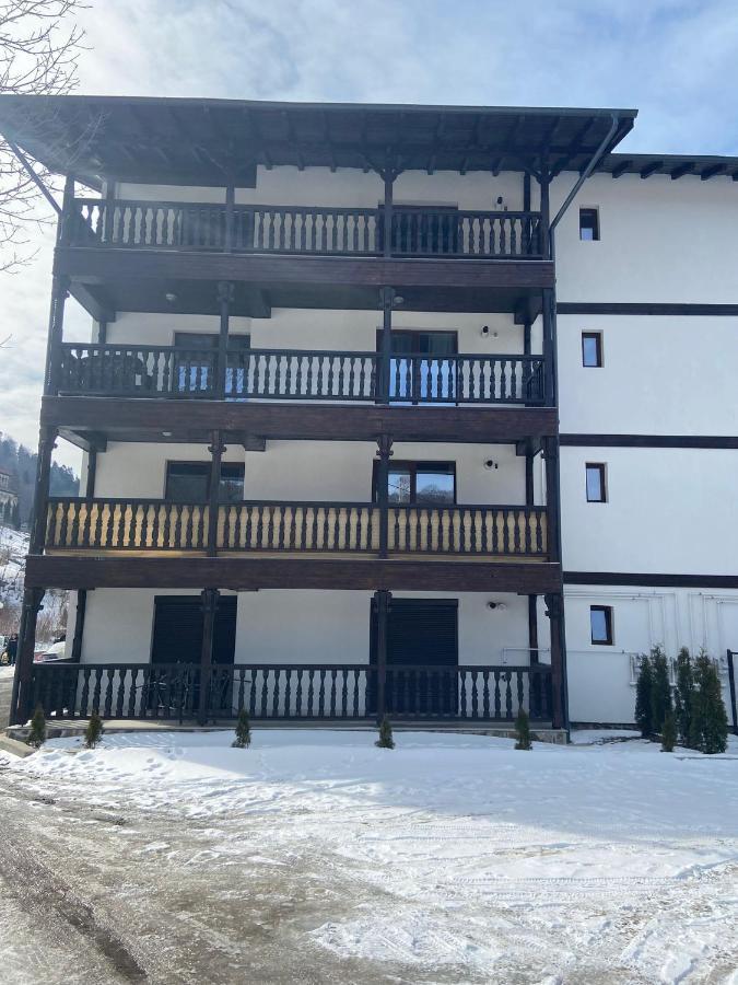Dream Mountain 9 Apartment Busteni Bagian luar foto